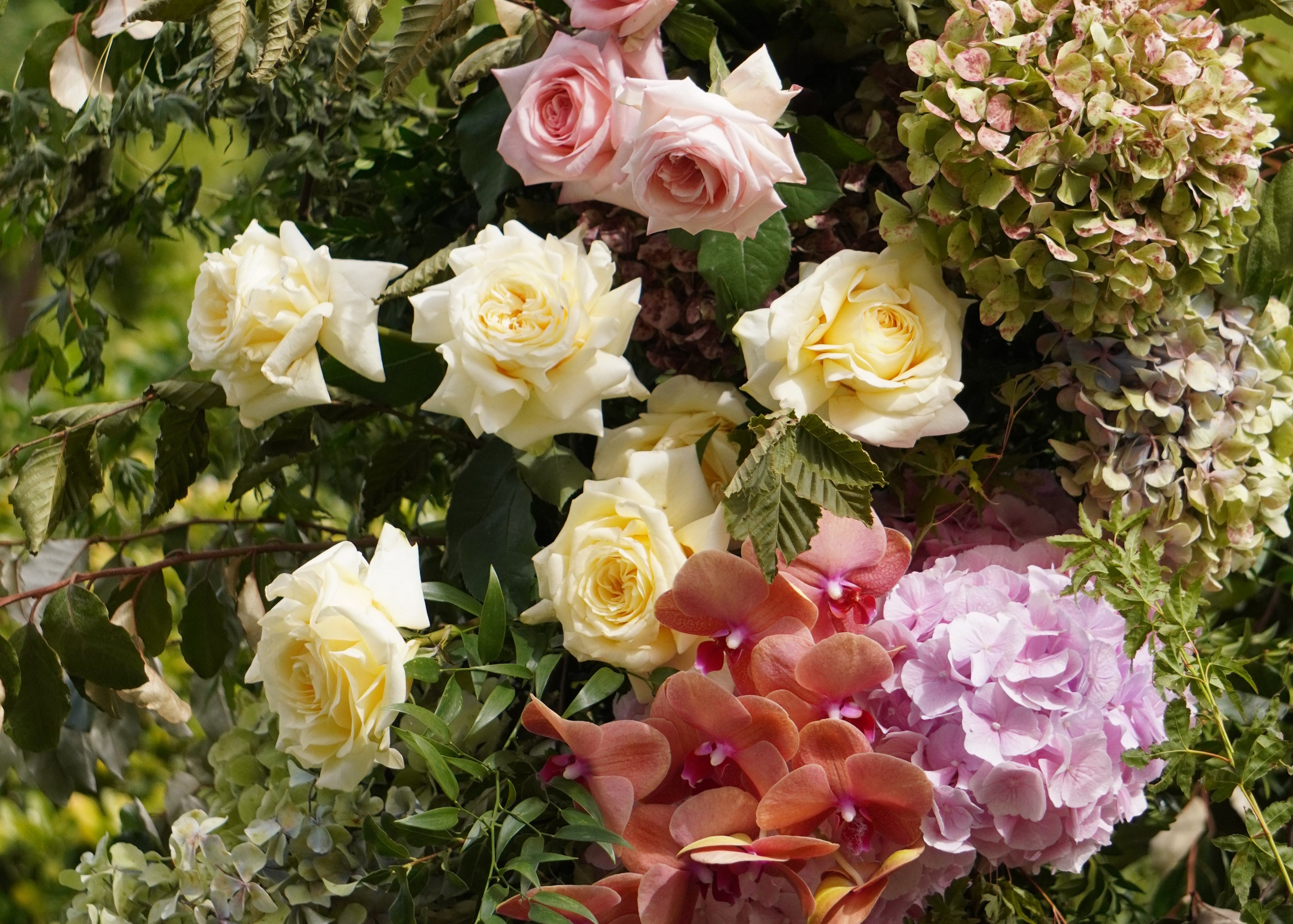 Event supplier content creation (florists, venues, hire & designers)